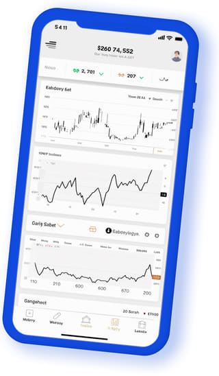 Vicuna Patrimorio digital web application on mobile device